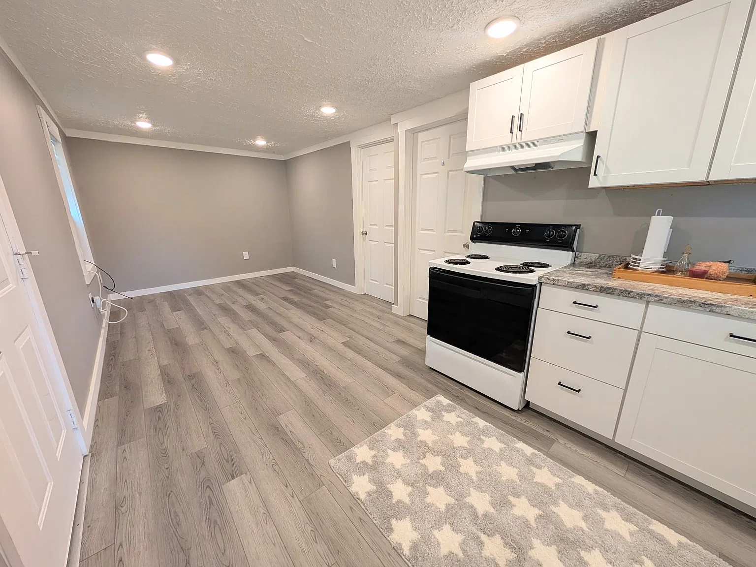1 bed, 550 sqft, $875 — Photo 3