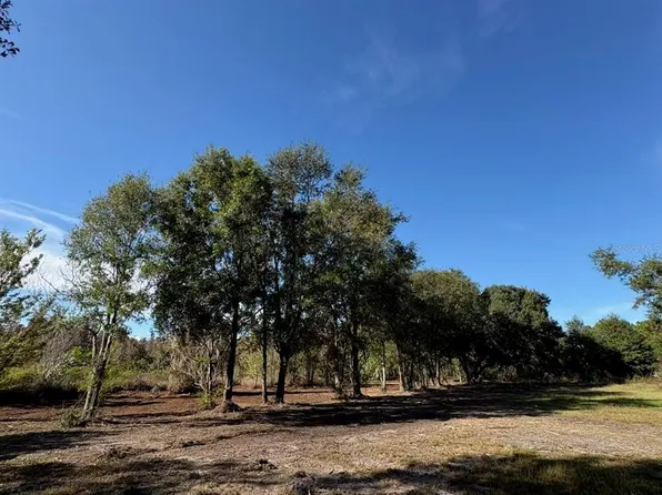 Hammock Loop Lot 36, Polk City, FL 33868
