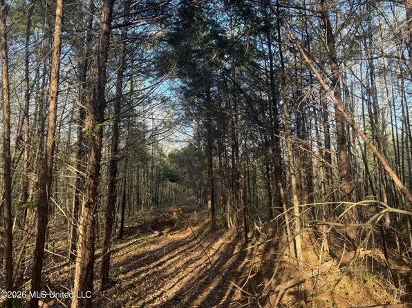 Robert Ford Rd, Waterford, MS 38685