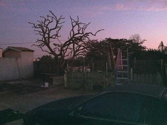 3rd image of 1625 Elm Ave