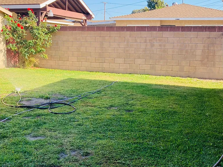 Rear yard off kitchen, newly fenced
