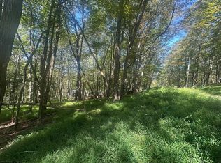 67 Clover Dr, Terra Alta, WV 26764