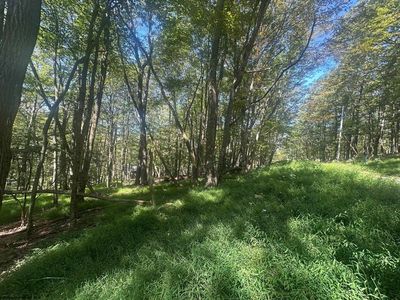 68 Clover Dr, Terra Alta, WV, 26764