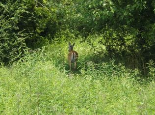 608 Carter Blake Rd, Tullahoma, TN 37388