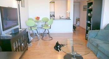 2nd image of 10 Museum Way APT 527