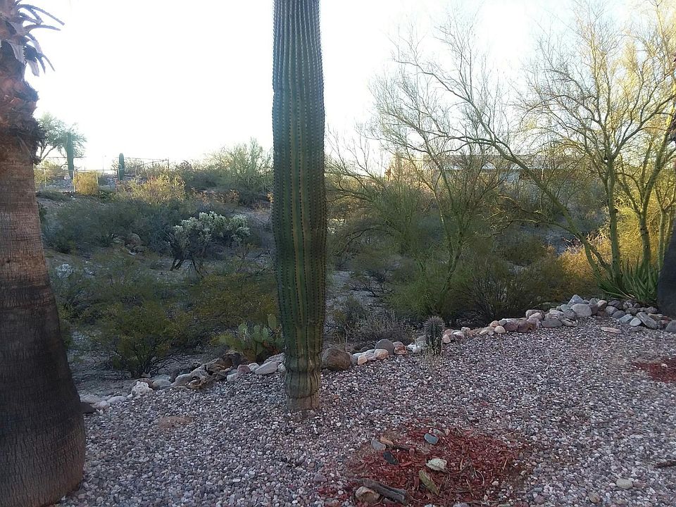 1st image of 2641 W Calle Del Santo