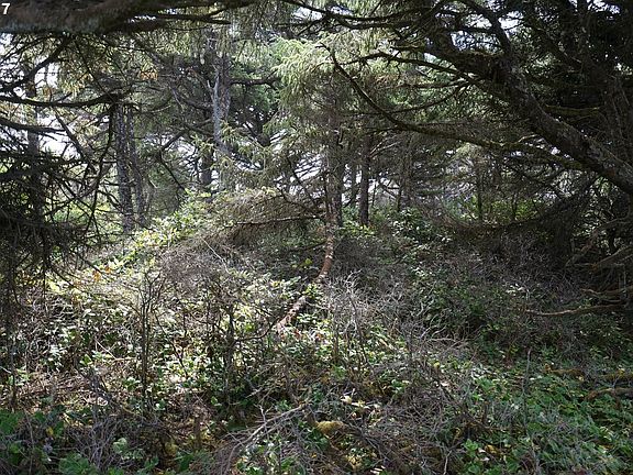 3rd image of 7100 Pacific Coast Hwy