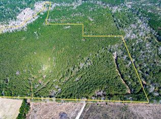 1 Lyons Cemetery Rd, Moscow, TX 75960