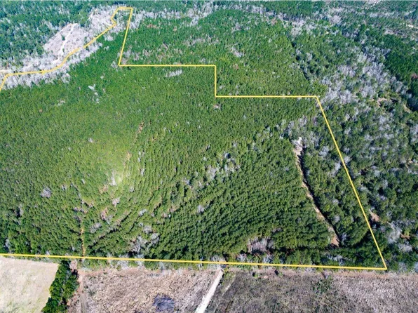 1 Lyons Cemetery Rd, Moscow, TX 75960