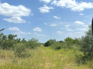231 Alaniz Ranch Rd, Santa Elena, TX 78591