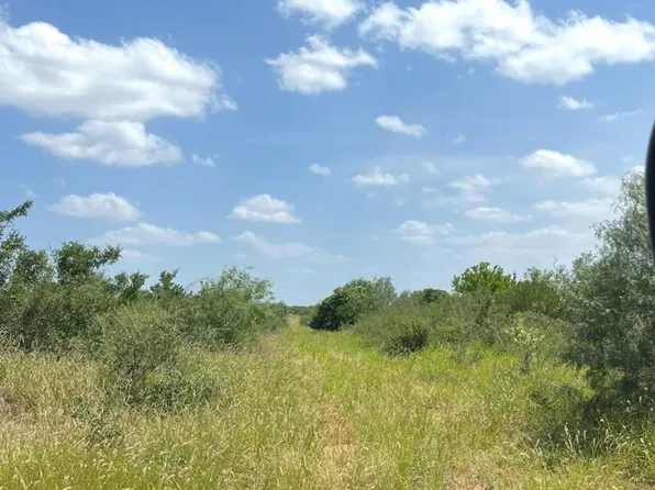 231 Alaniz Ranch Rd, Santa Elena, TX 78591