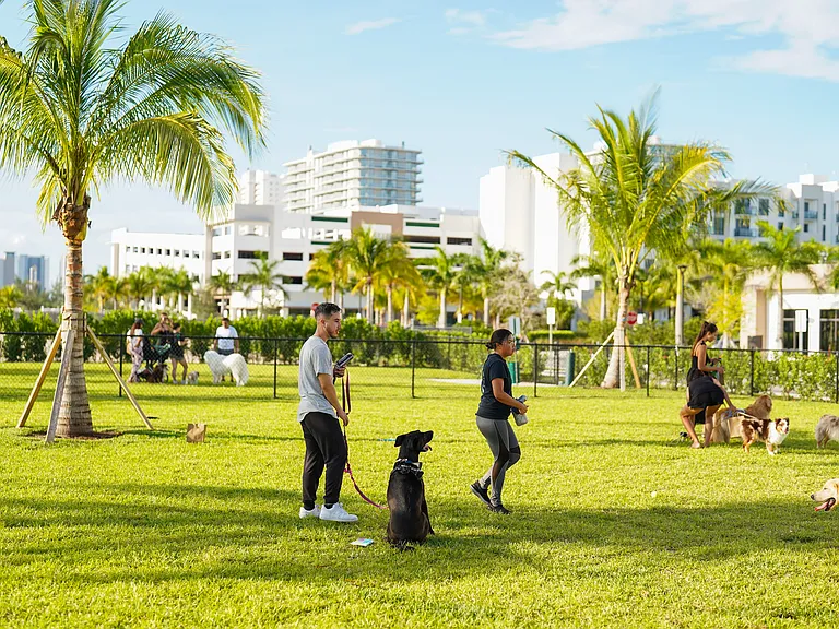 Let your four-legged friends run, play, and socialize in our spacious dog park.