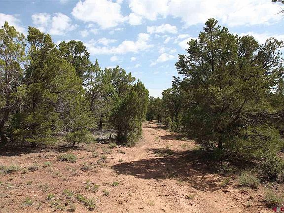 5th image of Tbd Government Springs Rd