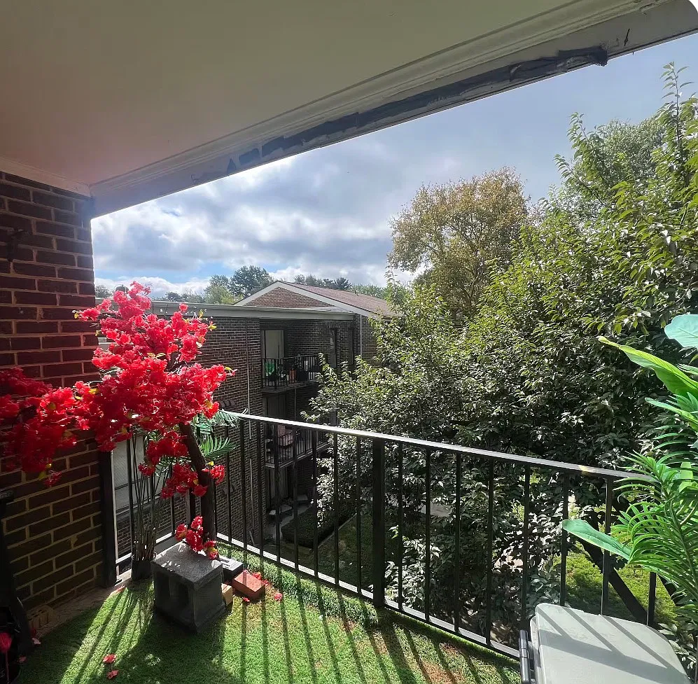 3 bed, 1.5 bath, 1022 sqft, $2,450 — Photo 2
