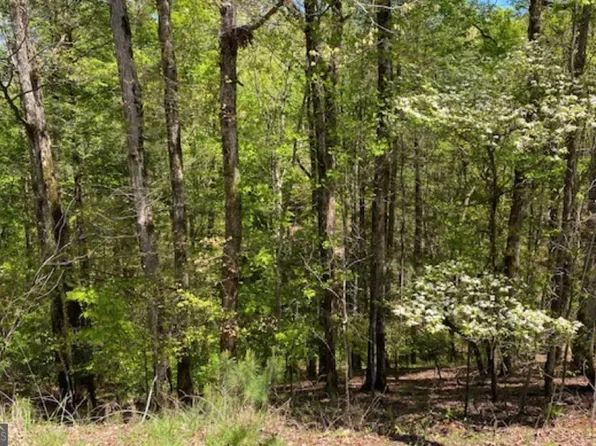 254 Myna Dr, Ellijay, GA 30540