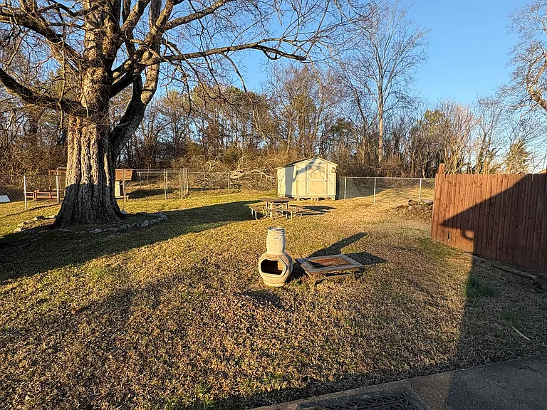 Backyard