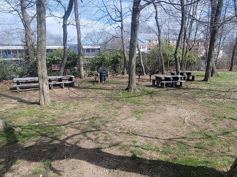 Grilling, picnic and bench area pic#2