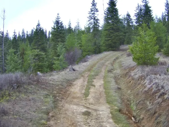 11 Highway, Weippe, ID 83553