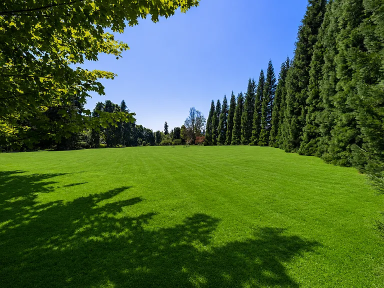 Flat beautiful yard