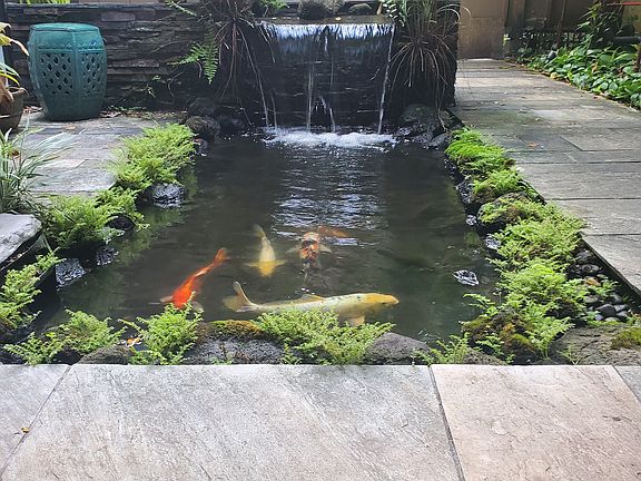water fall/koi pond-koi incl