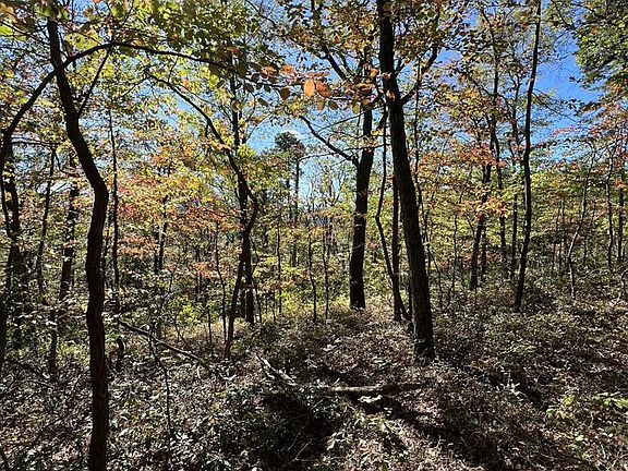 4th image of LOT 12 Mountain Falls Blvd