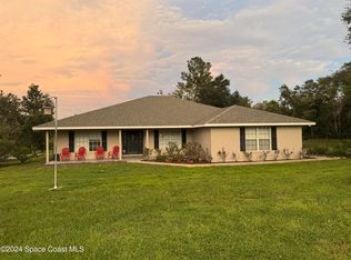 221 Lake Doyle Dr, Deltona, FL 32738