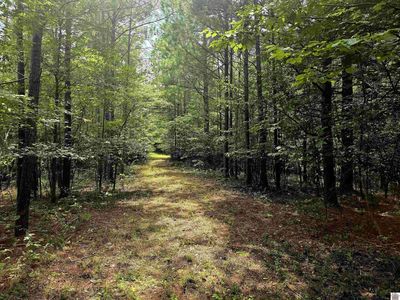 0 Vicksburg Rd, Tiline, KY, 42083