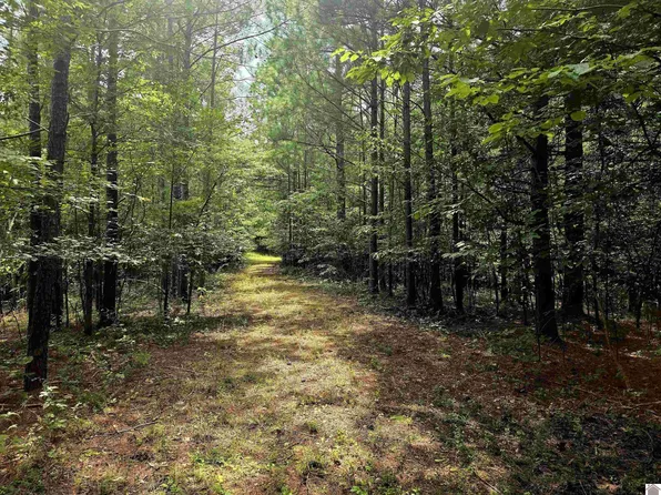 0 Vicksburg Rd, Tiline, KY 42083