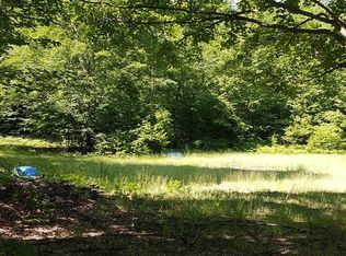 Ken Pen Rd, Frederic, MI 49733