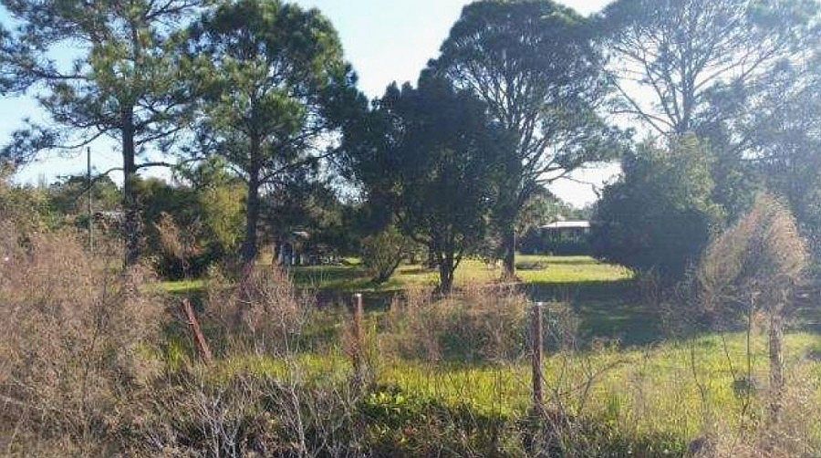 2nd image of 881 Shellcracker Rd