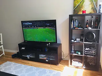 Rented by Manhattan Flats