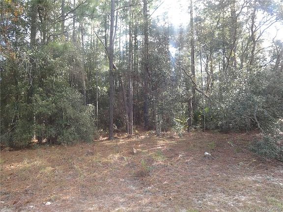 3rd image of 7121 N Trinidad Way
