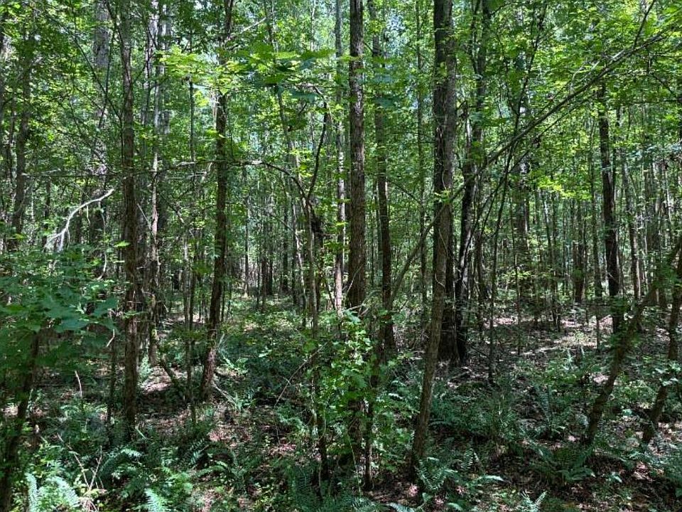 2nd image of 85A Atomic Rd