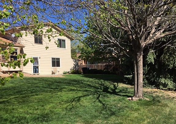 back yard