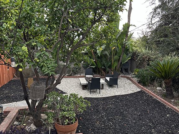 peaceful backyard