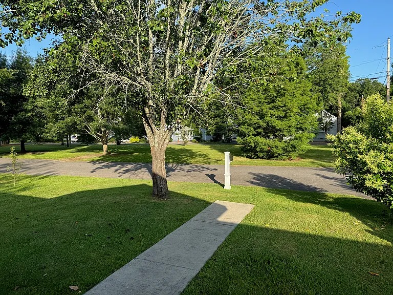 Front Yard