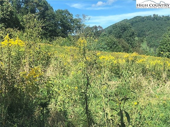 4th image of TBD NC Hwy 194 N
