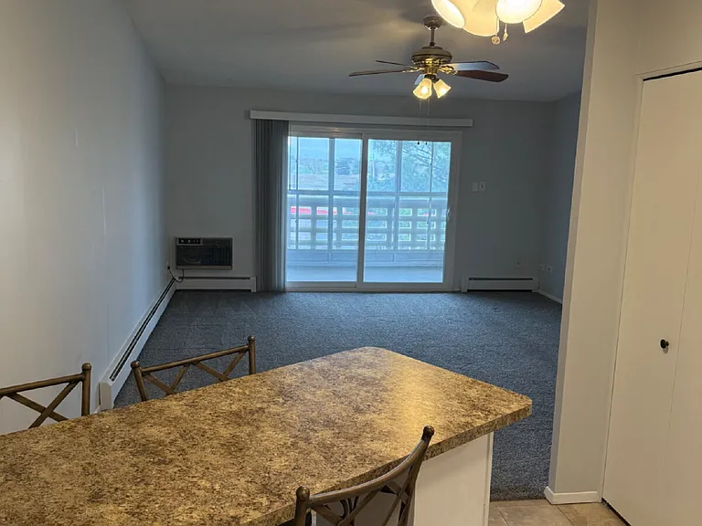 350 S Clinton St #6D — Photo 4