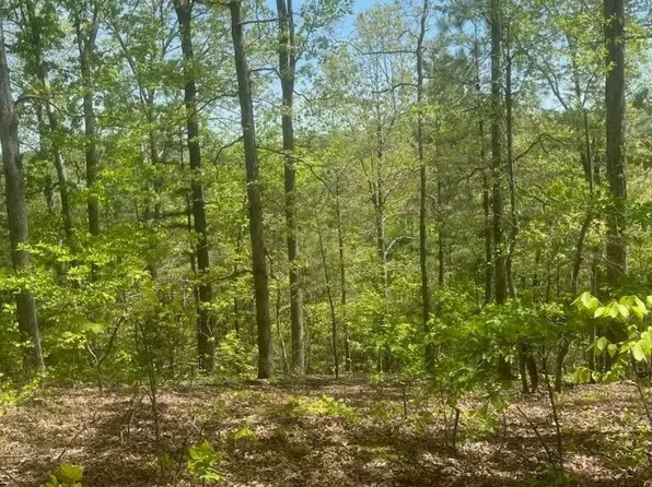 47 County Rd, Riceville, TN 37370