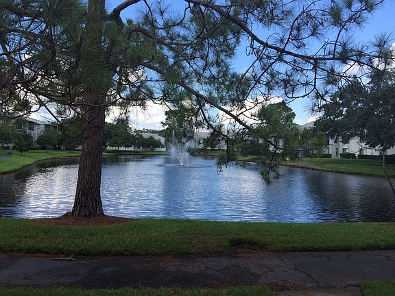 pond, walking path