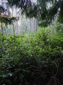 0 NE Washington St, Yachats, OR, 97498