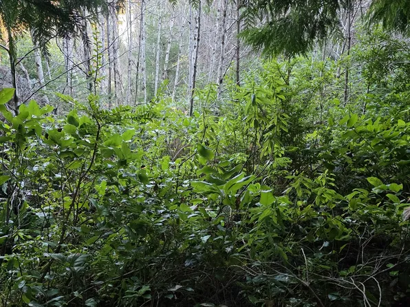 0 NE Washington St, Yachats, OR 97498