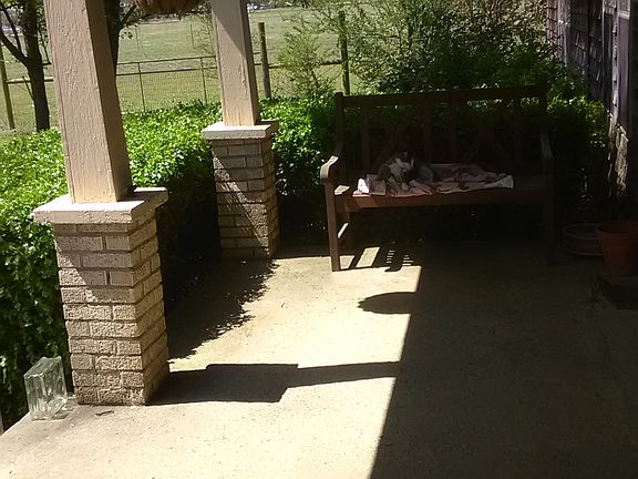 4th image of 336 Chandler Rd