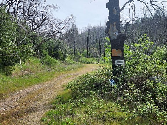 4th image of 1977 Big Ridge Rd