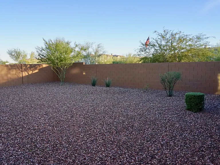 Back yard