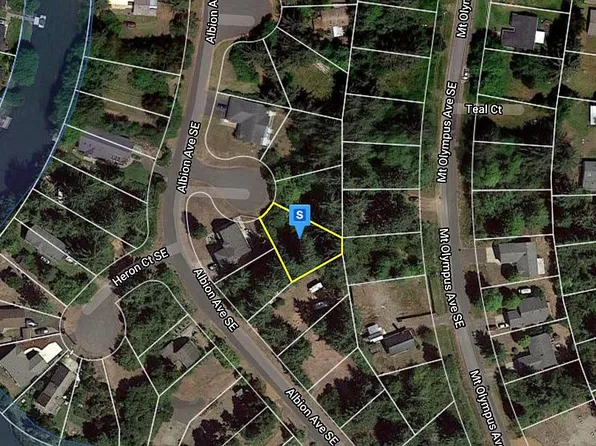 870 Widgeon Ct SE, Ocean Shores, WA 98569