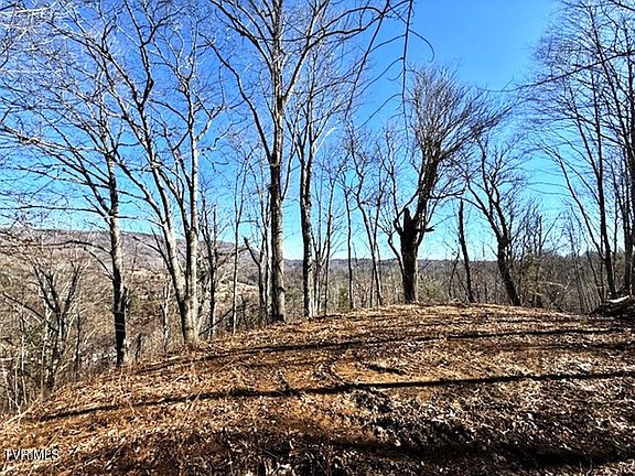 5th image of Tbd Vilas Overlook Dr