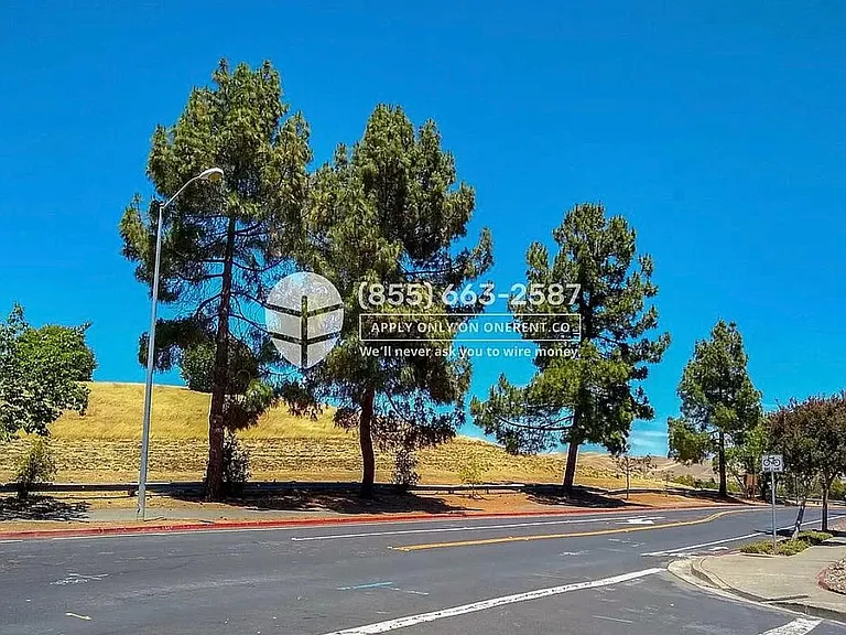 Swallowtail Rd — Photo 21