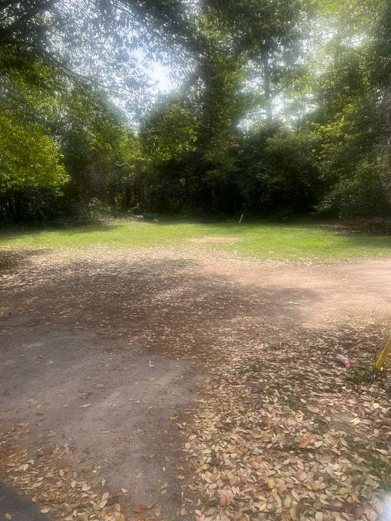 Studio, 700 sqft, $550 — Photo 3