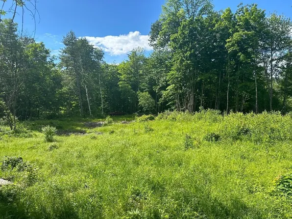 Lot #1 Frescoln Road, Wentworth, NH 03282
